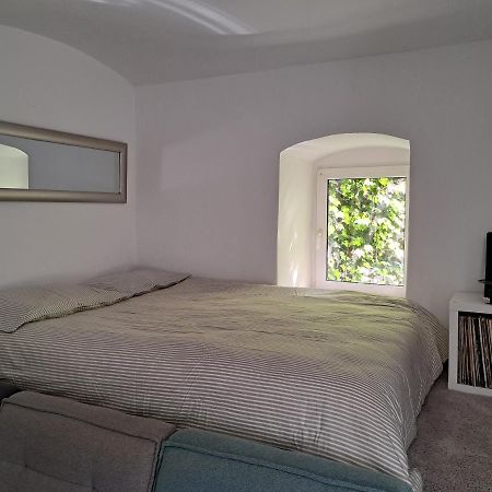 Appartement City Centar Apartman With Garden à Zagreb Extérieur photo