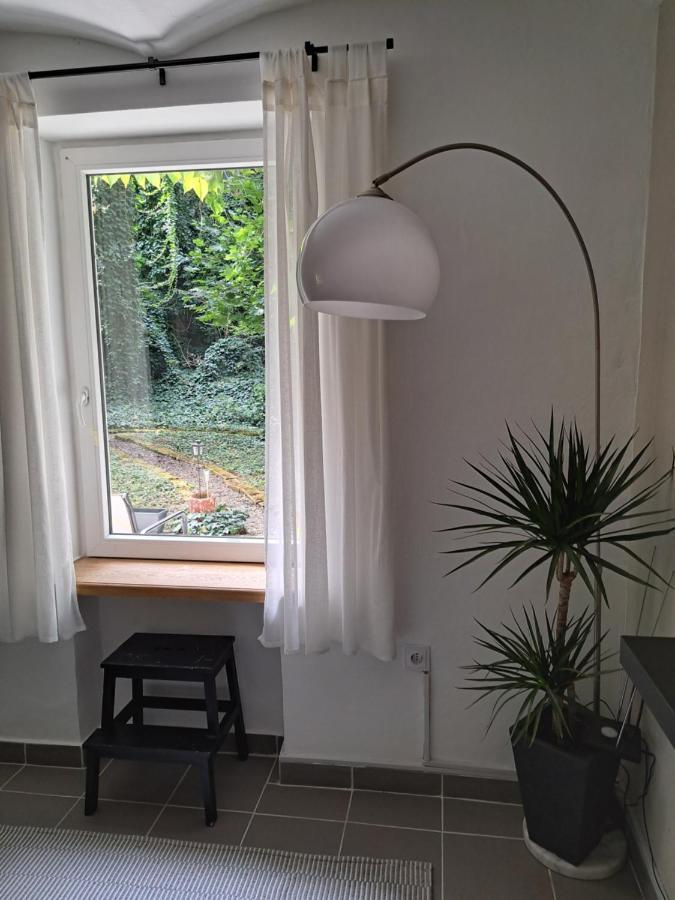 Appartement City Centar Apartman With Garden à Zagreb Extérieur photo