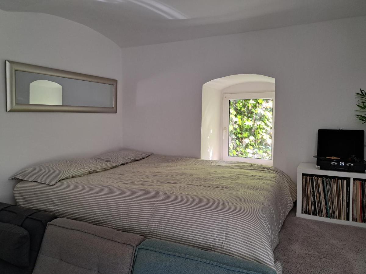 Appartement City Centar Apartman With Garden à Zagreb Extérieur photo