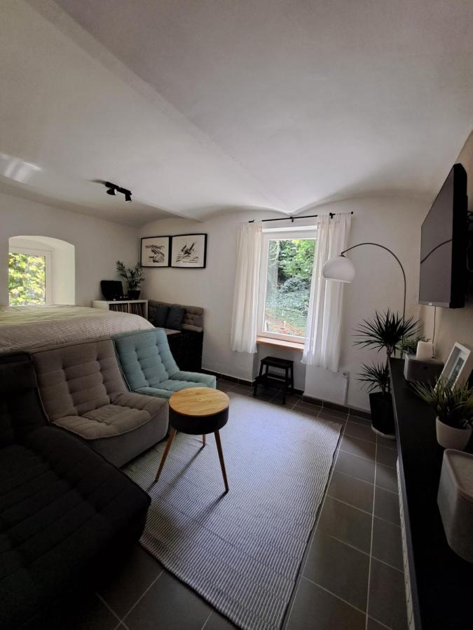 Appartement City Centar Apartman With Garden à Zagreb Extérieur photo