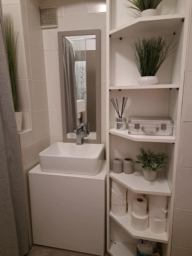 Appartement City Centar Apartman With Garden à Zagreb Extérieur photo